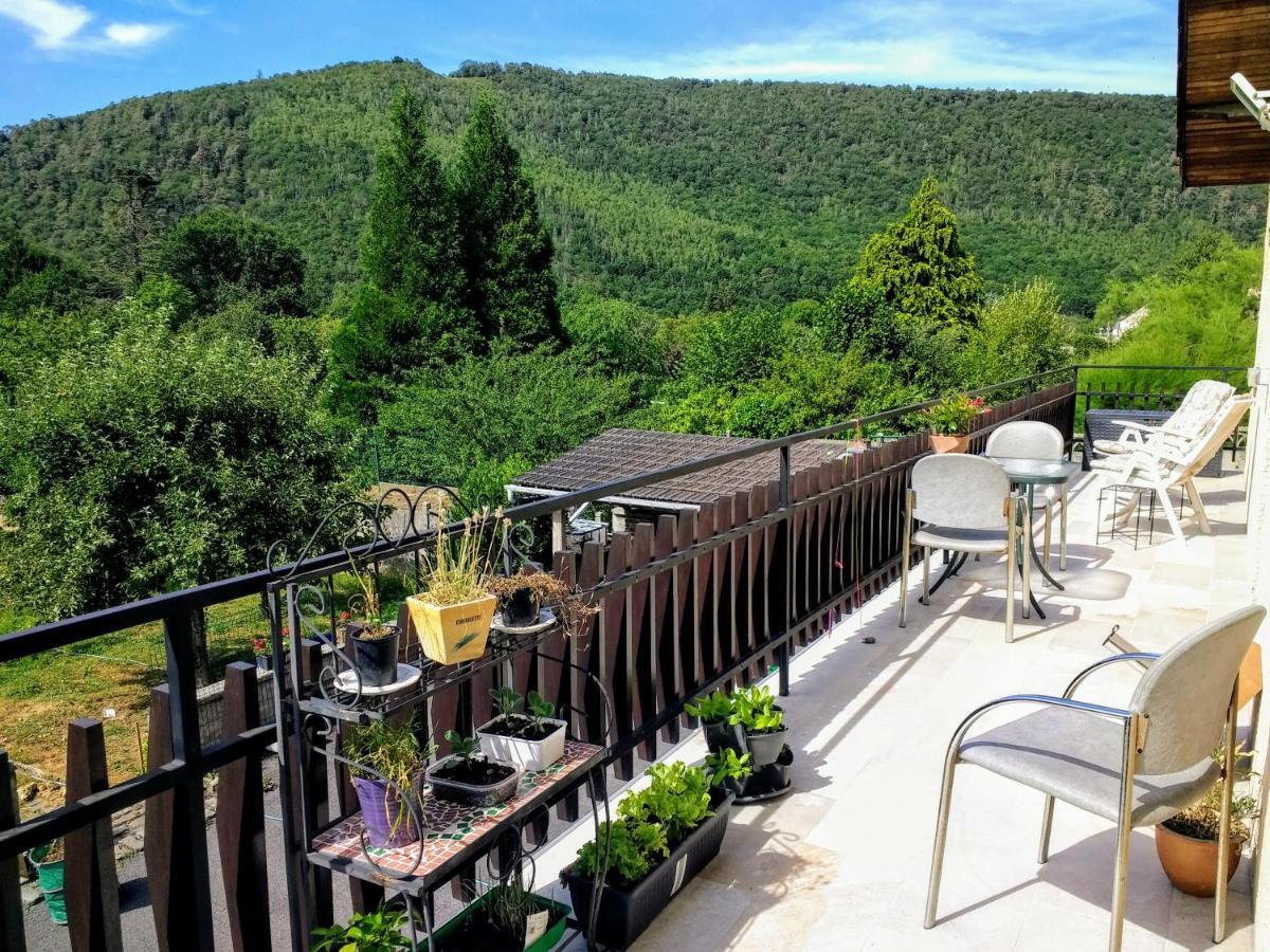 Revin Les Ecureuils Bed & Breakfast エクステリア 写真