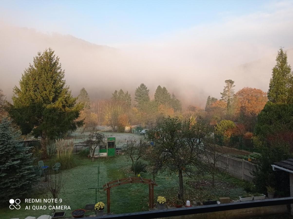 Revin Les Ecureuils Bed & Breakfast エクステリア 写真