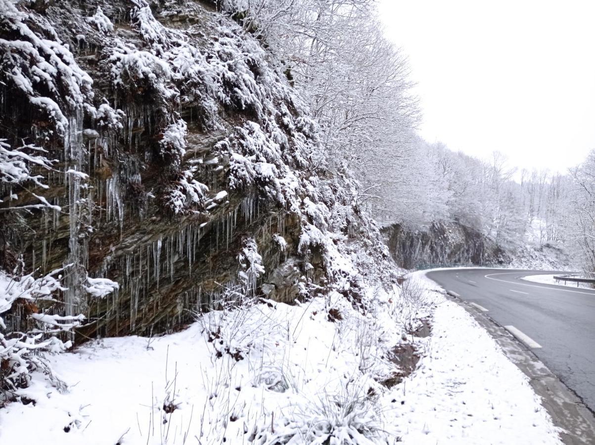 Revin Les Ecureuils Bed & Breakfast エクステリア 写真