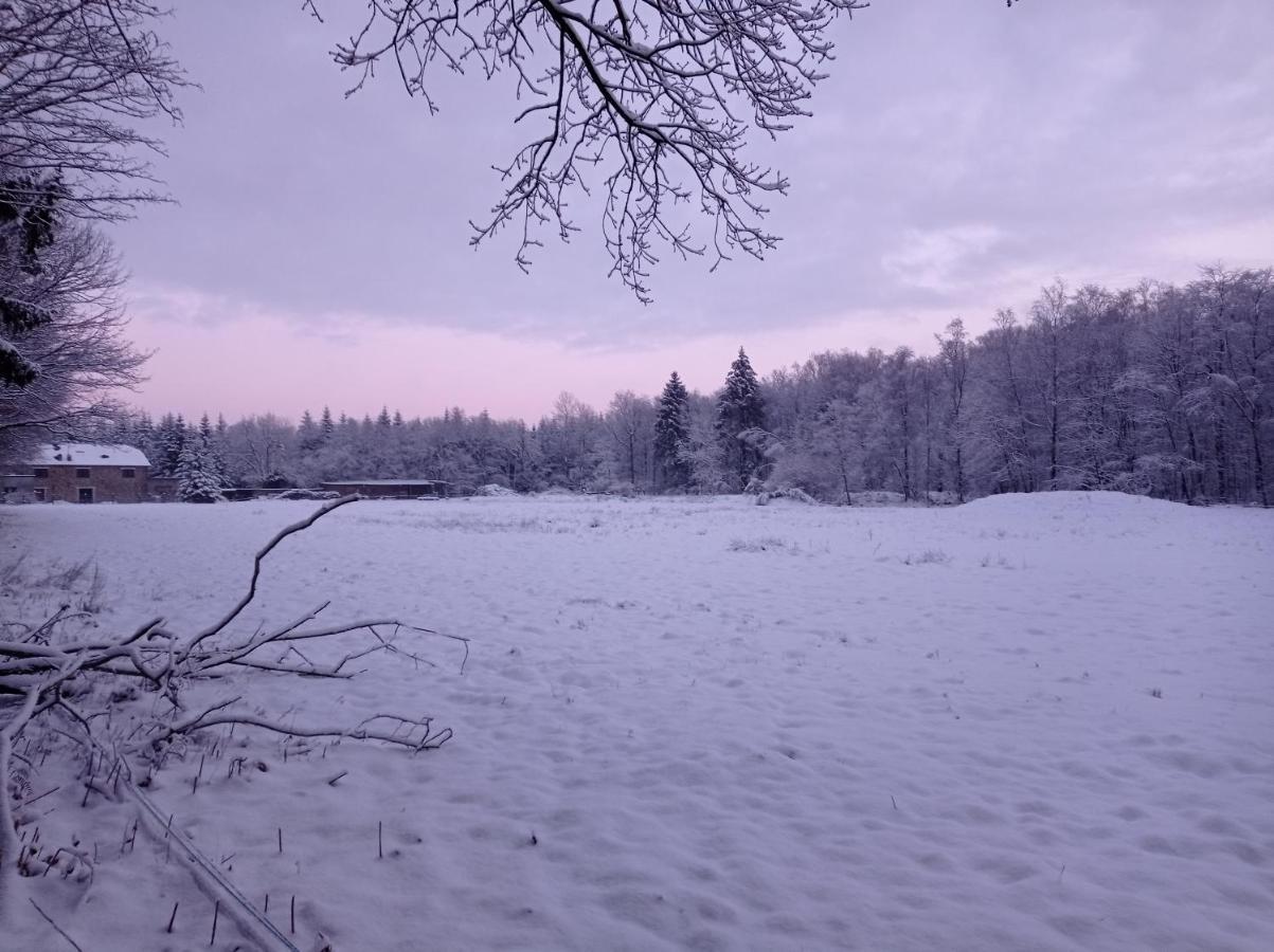 Revin Les Ecureuils Bed & Breakfast エクステリア 写真