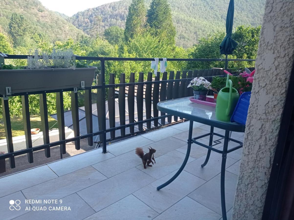 Revin Les Ecureuils Bed & Breakfast エクステリア 写真