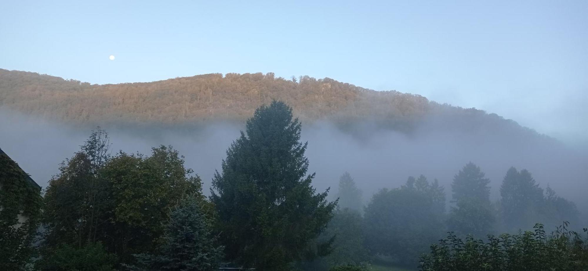 Revin Les Ecureuils Bed & Breakfast エクステリア 写真