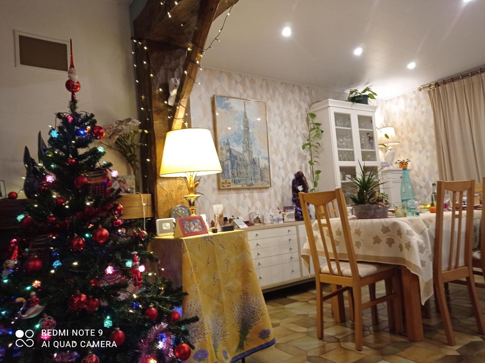 Revin Les Ecureuils Bed & Breakfast エクステリア 写真